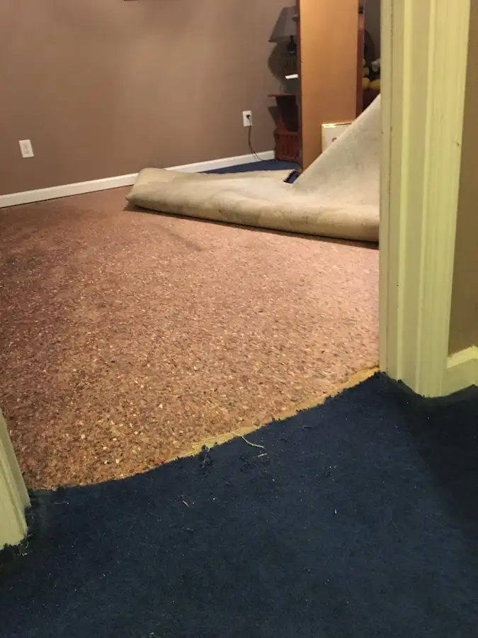 Carpet pad removal revealing water damage during Water Mitigation Services in Oak Harbor