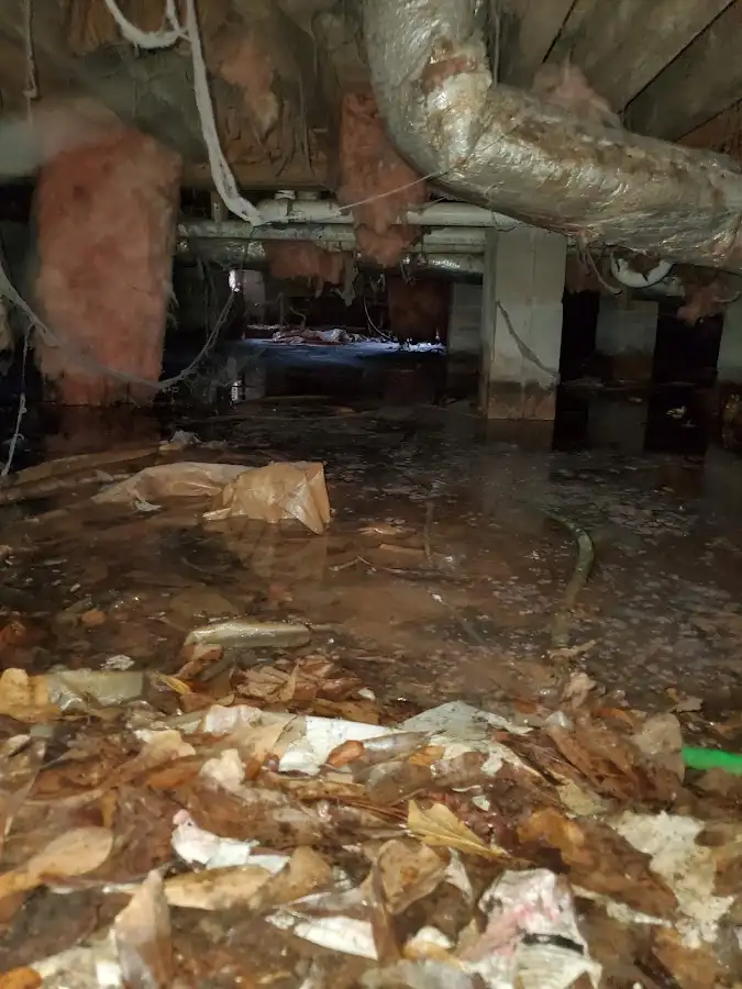 Crawl space flood assessment for Leak Detection & Repair in Oak Harbor